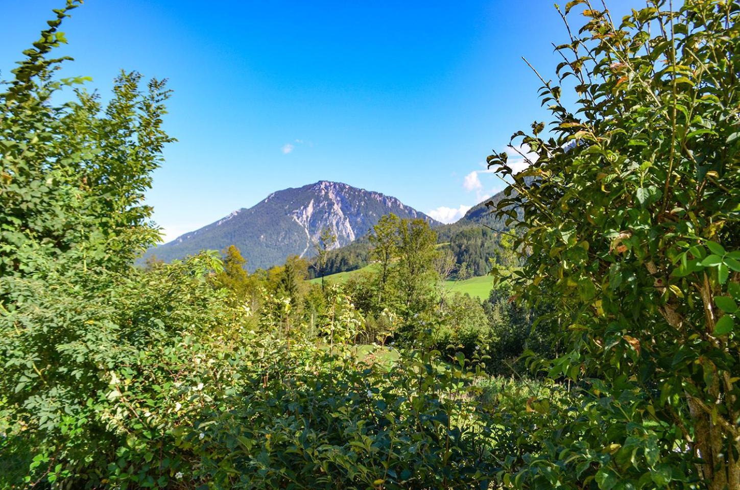 Almbauernhof Apartment Ruhpolding Exterior foto