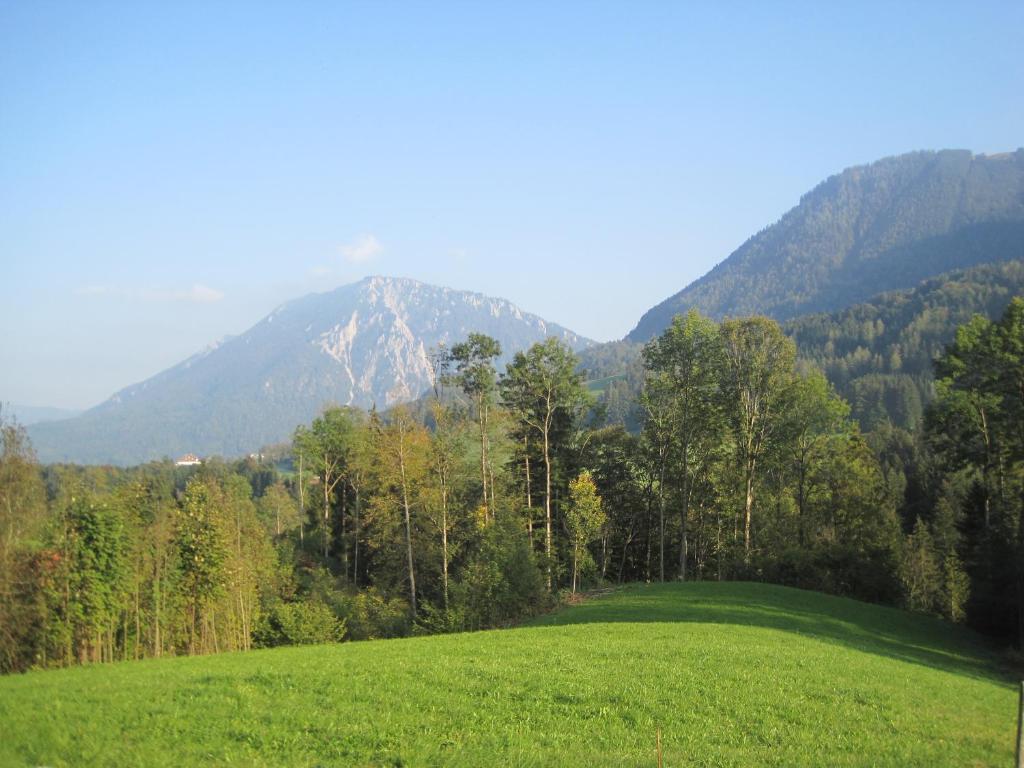 Almbauernhof Apartment Ruhpolding Exterior foto
